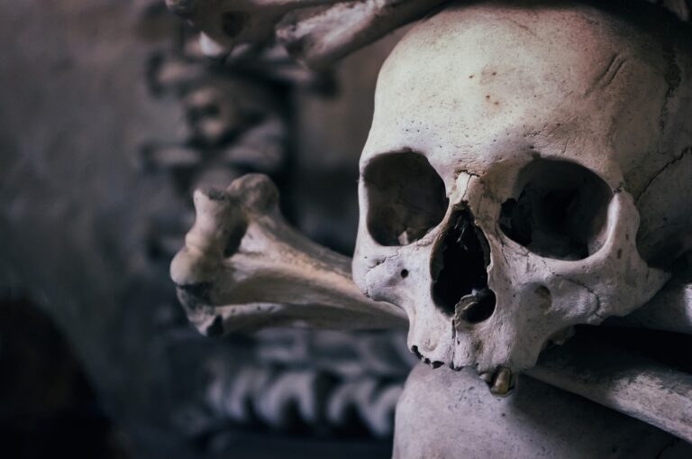 Pensão por morte: quem tem direito, regras atuais e documentos